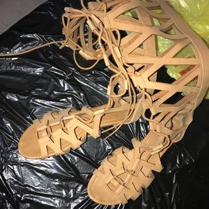 Tan Gladiator sandals !